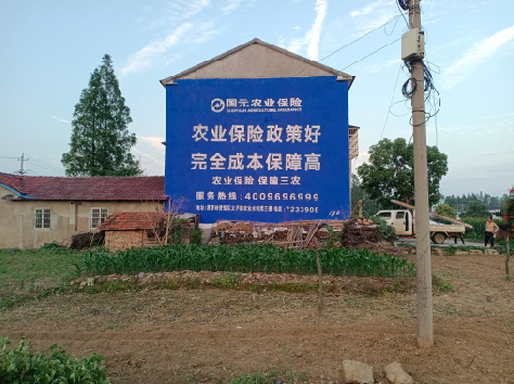 修文墙体广告为何受追捧？